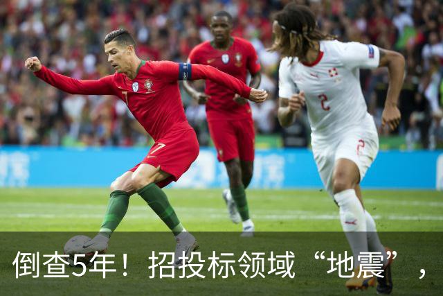倒查5年！招投标领域“地震”，一个环节都不放过！