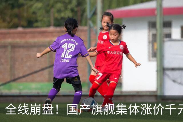 全线崩盘！国产旗舰集体涨价千元，首销最高暴跌71%