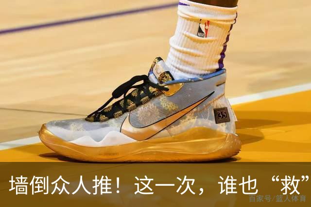 墙倒众人推！这一次，谁也“救”不了落井下石被“反噬”的杨议