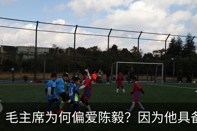 毛主席为何偏爱陈毅？因为他具备三大优点，喜爱也很正常！