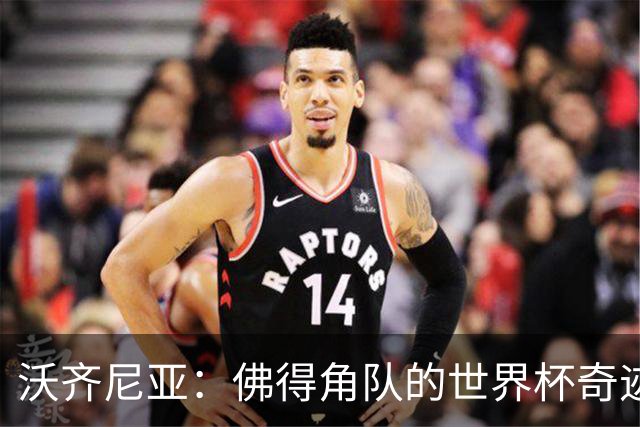 沃齐尼亚：佛得角队的世界杯奇迹属于所有球员，并不仅仅是我