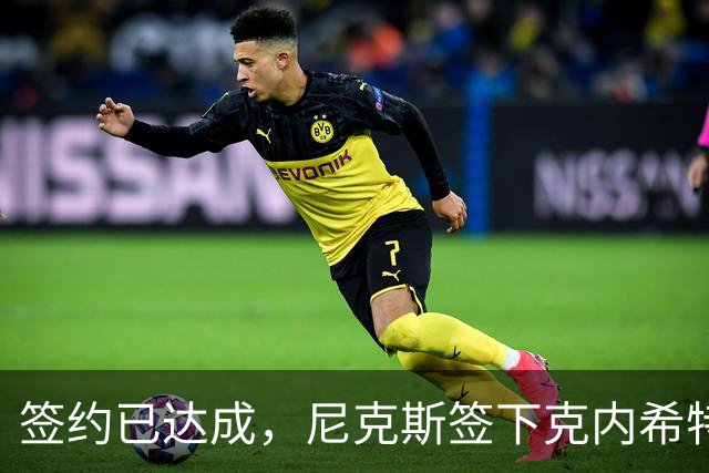 签约已达成，尼克斯签下克内希特，此前湖人队裁掉了这位前首轮秀