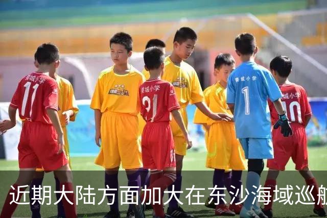 近期大陆方面加大在东沙海域巡航，是否受到先前水炮事件影响，国台办：大陆海警在相关海域执法巡查是依法履职