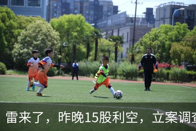 雷来了，昨晚15股利空，立案调查、终止上市、重点监控、异常交易