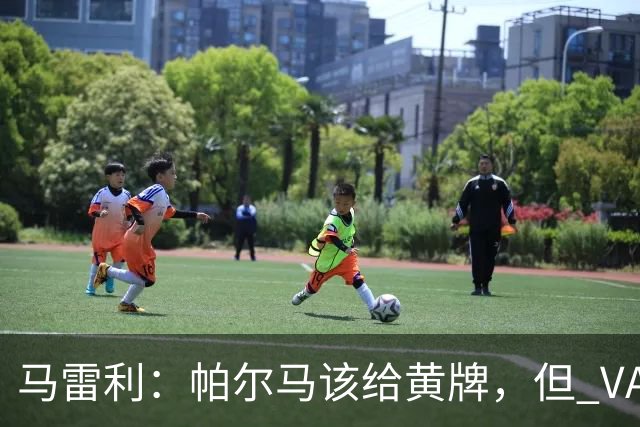 马雷利：帕尔马该给黄牌，但 VAR 不介入并无问题